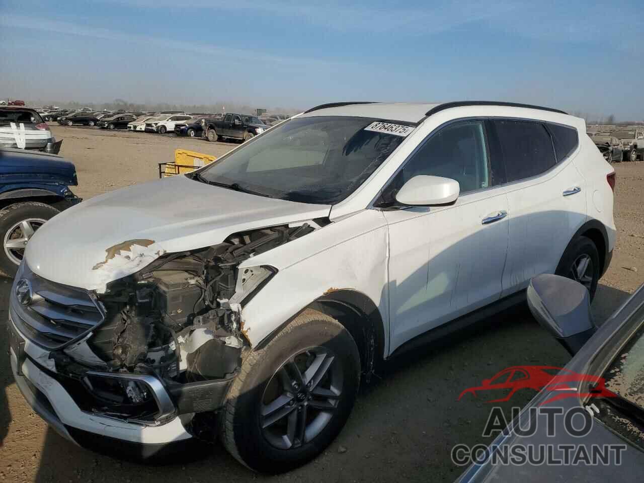 HYUNDAI SANTA FE 2017 - 5NMZUDLB0HH009079