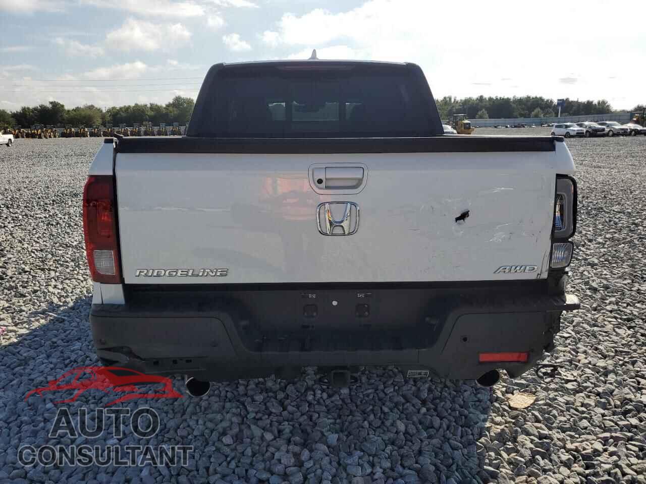 HONDA RIDGELINE 2021 - 5FPYK3F81MB018341