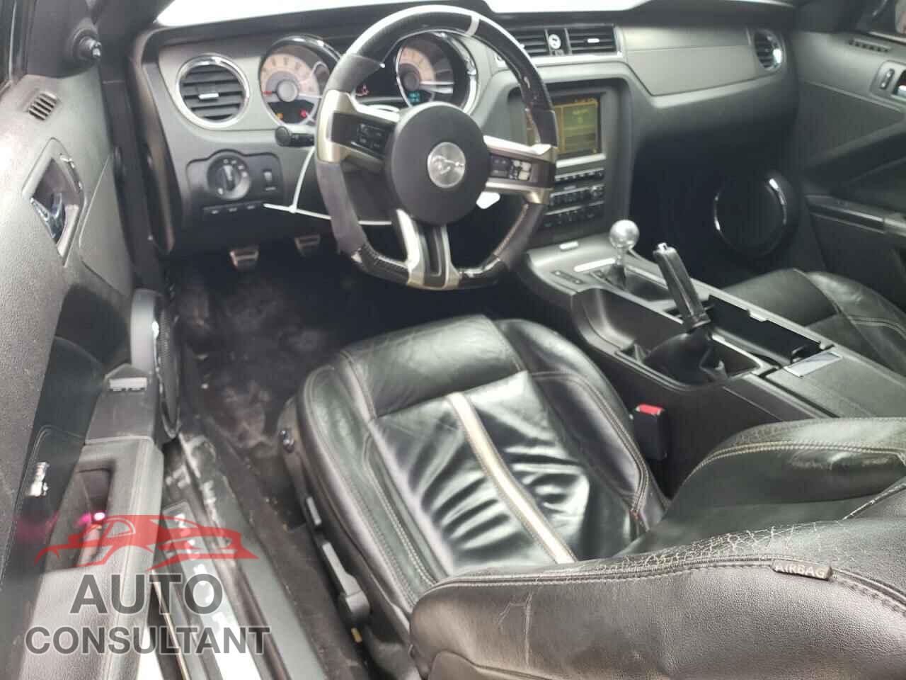 FORD MUSTANG 2010 - 1ZVBP8CHXA5158366