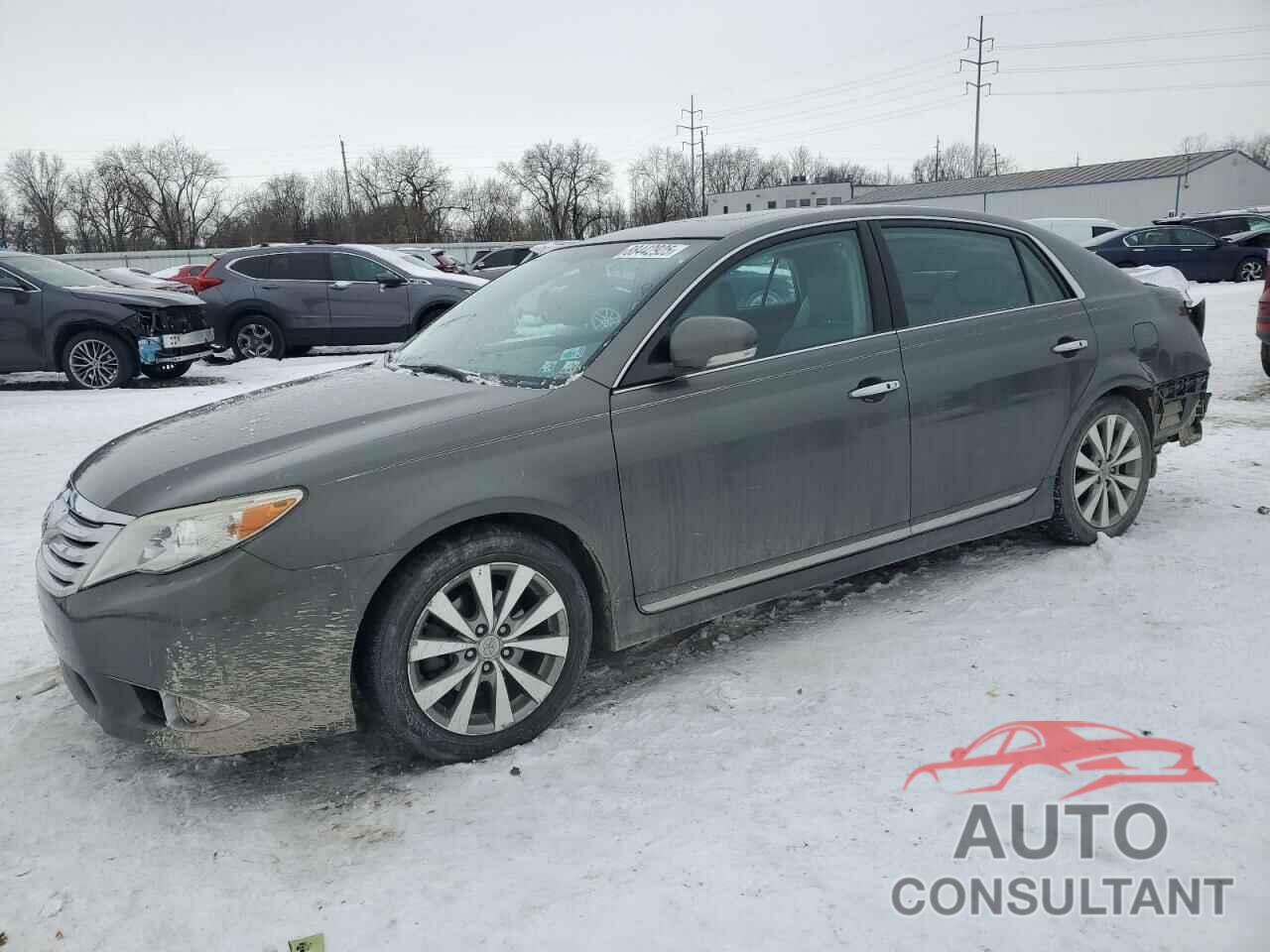 TOYOTA AVALON 2011 - 4T1BK3DB2BU390445