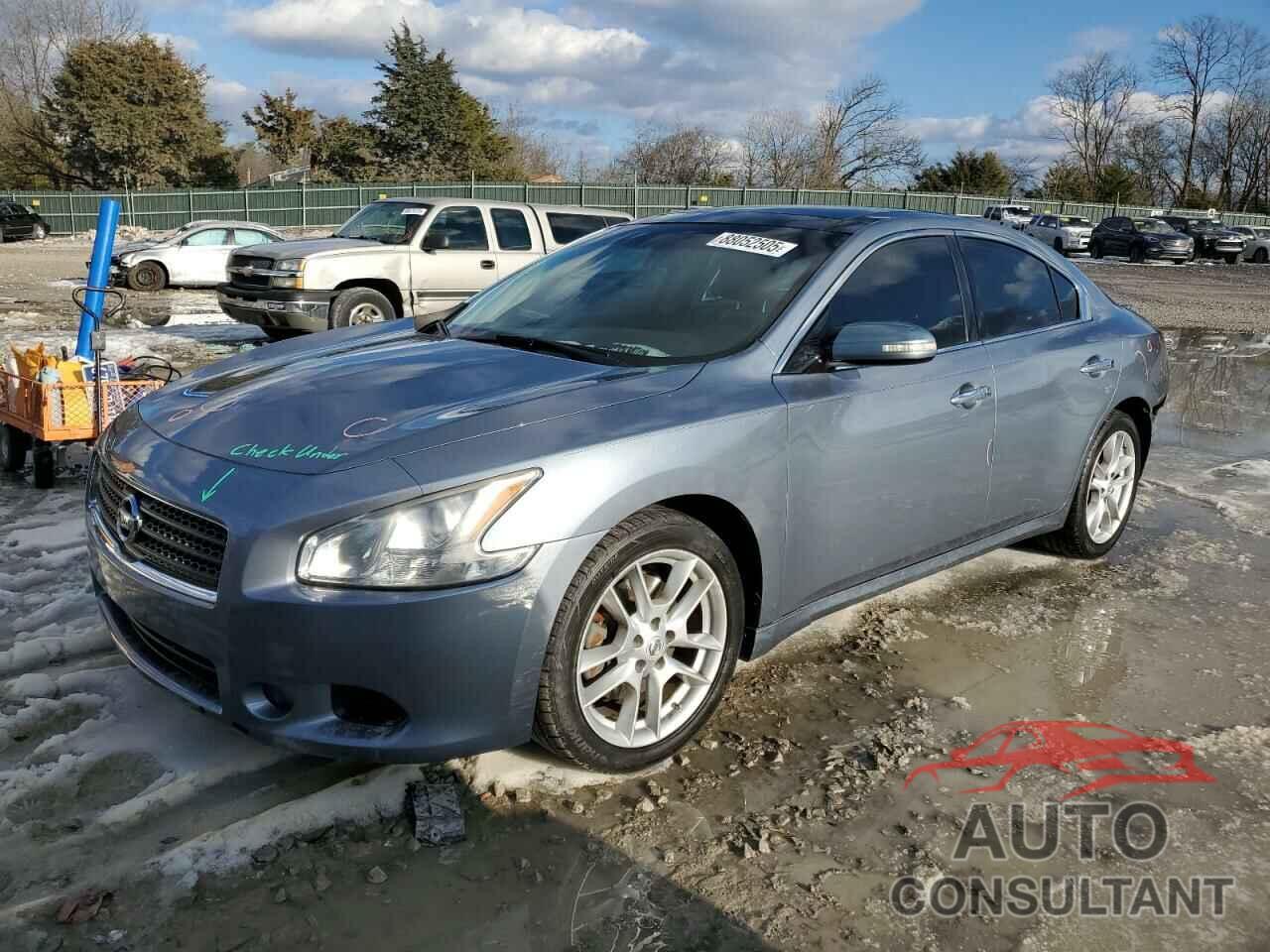 NISSAN MAXIMA 2011 - 1N4AA5AP0BC813100