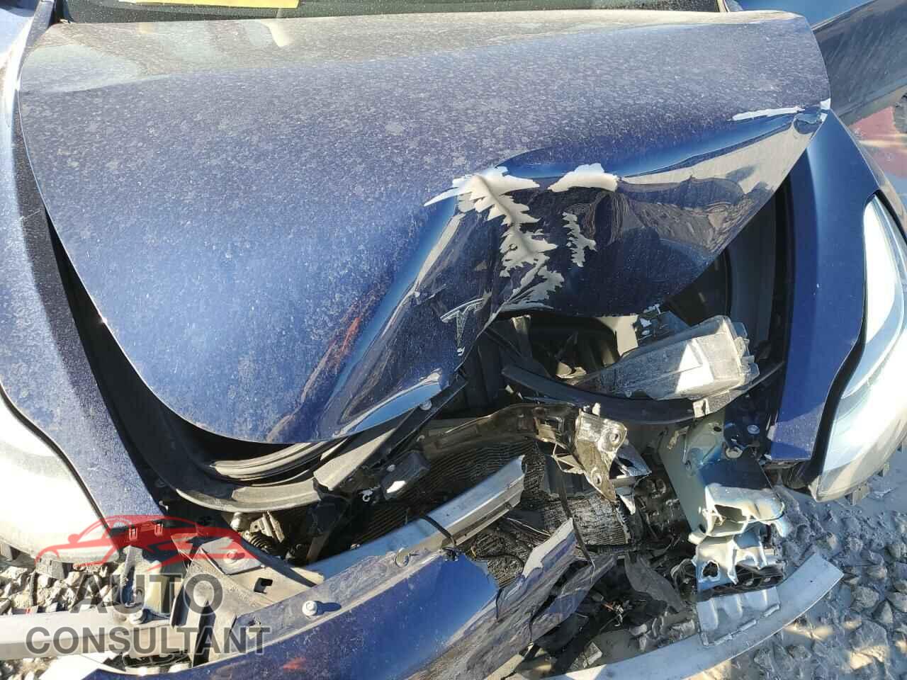 TESLA MODEL 3 2021 - 5YJ3E1EA7MF850334