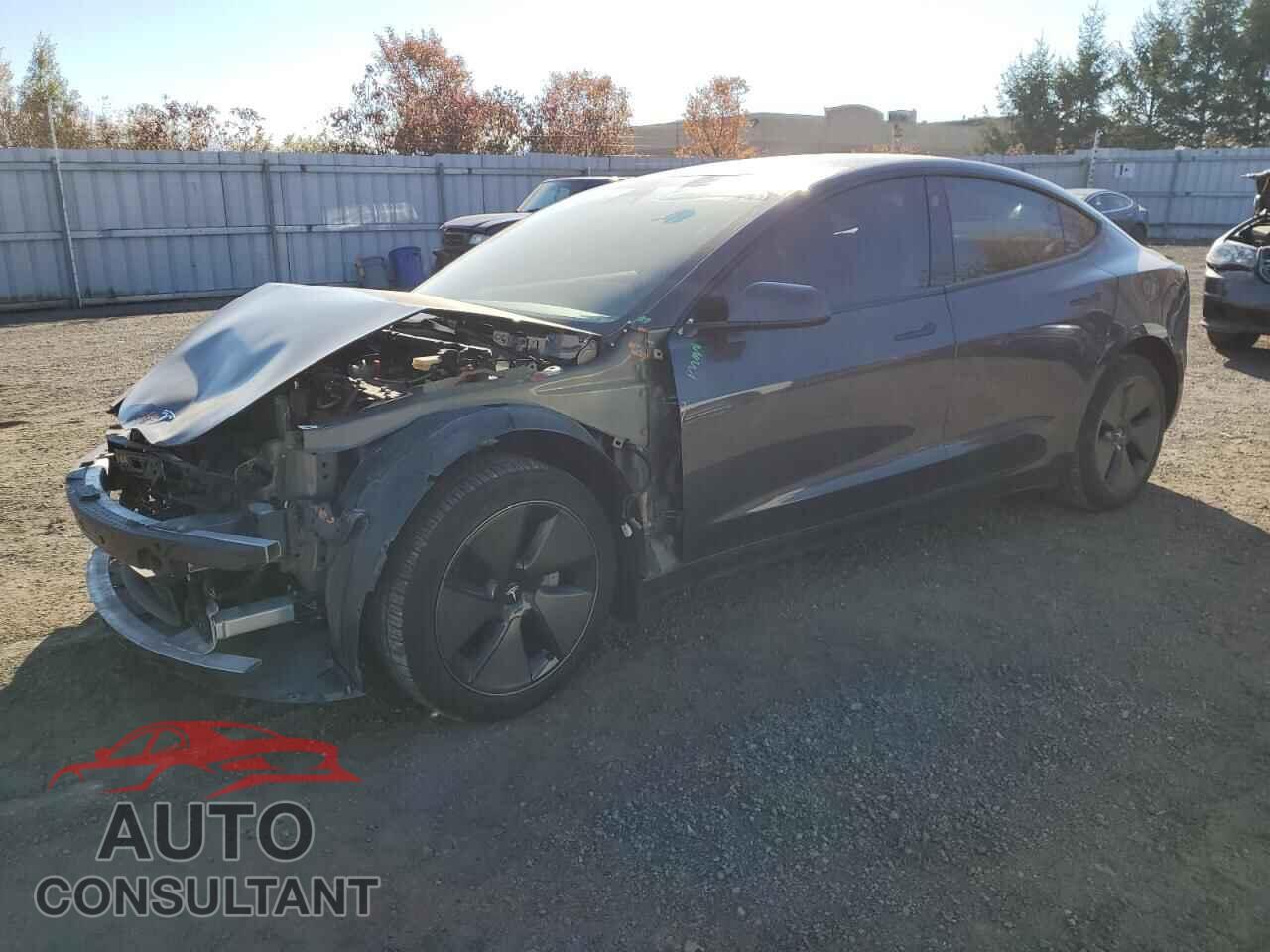TESLA MODEL 3 2023 - LRW3E1FA7PC899692