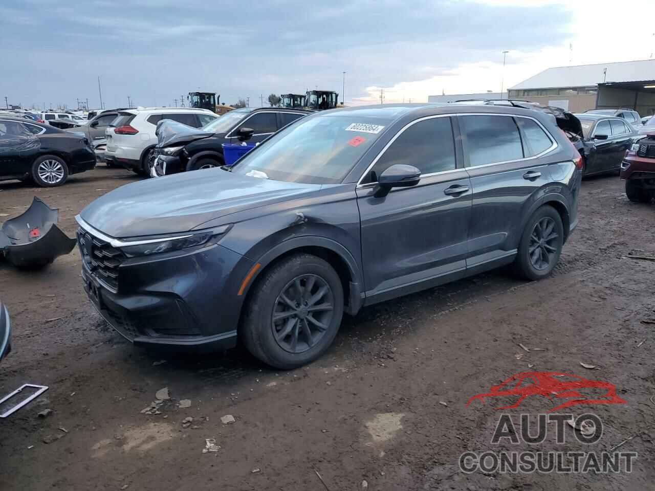 HONDA CRV 2024 - 2HKRS4H43RH445235