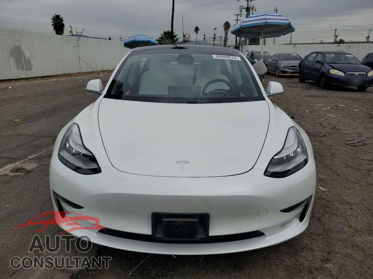 TESLA MODEL 3 2019 - 5YJ3E1EAXKF509393