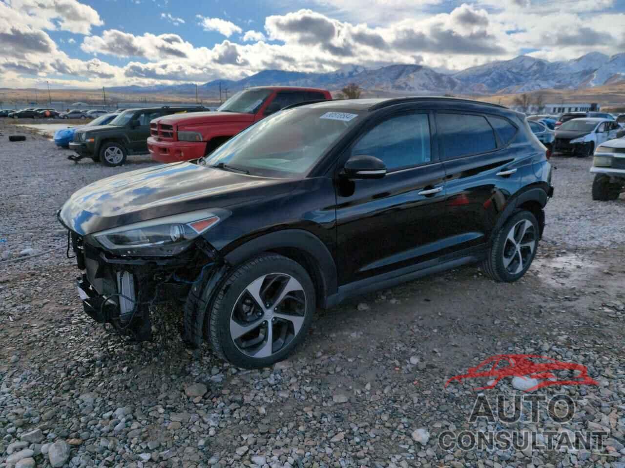 HYUNDAI TUCSON 2016 - KM8J33A25GU114944