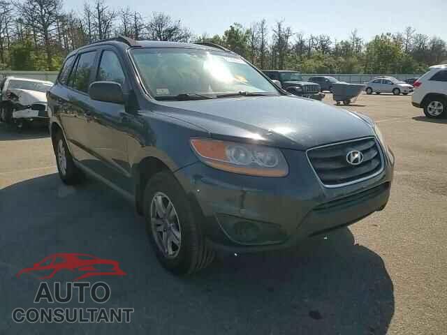 HYUNDAI SANTA FE 2010 - 5NMSGDAB9AH392425