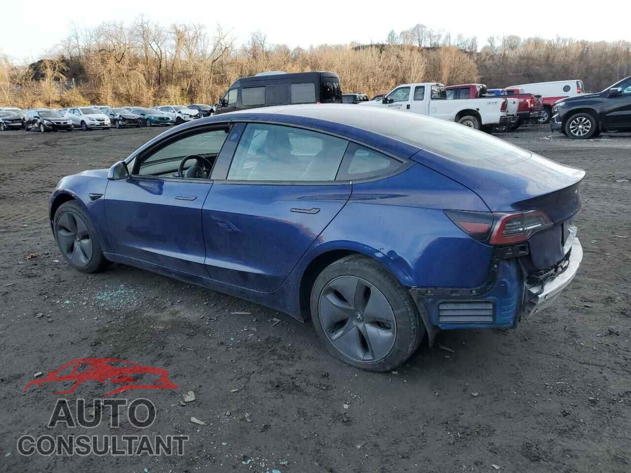 TESLA MODEL 3 2020 - 5YJ3E1EA3LF658505