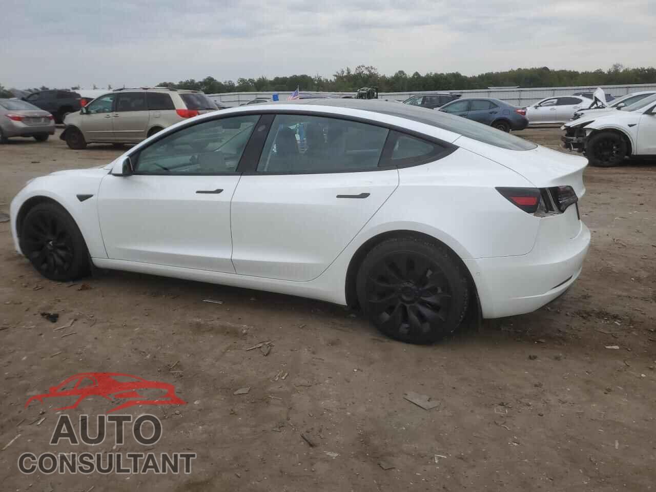 TESLA MODEL 3 2021 - 5YJ3E1EA1MF854296