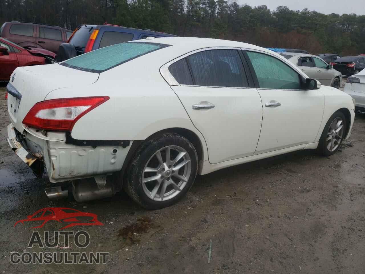 NISSAN MAXIMA 2011 - 1N4AA5AP3BC851419