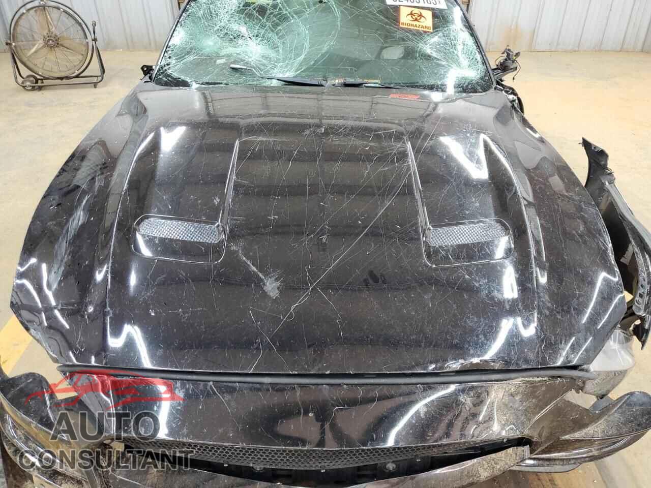 FORD MUSTANG 2019 - 1FA6P8CF4K5122487