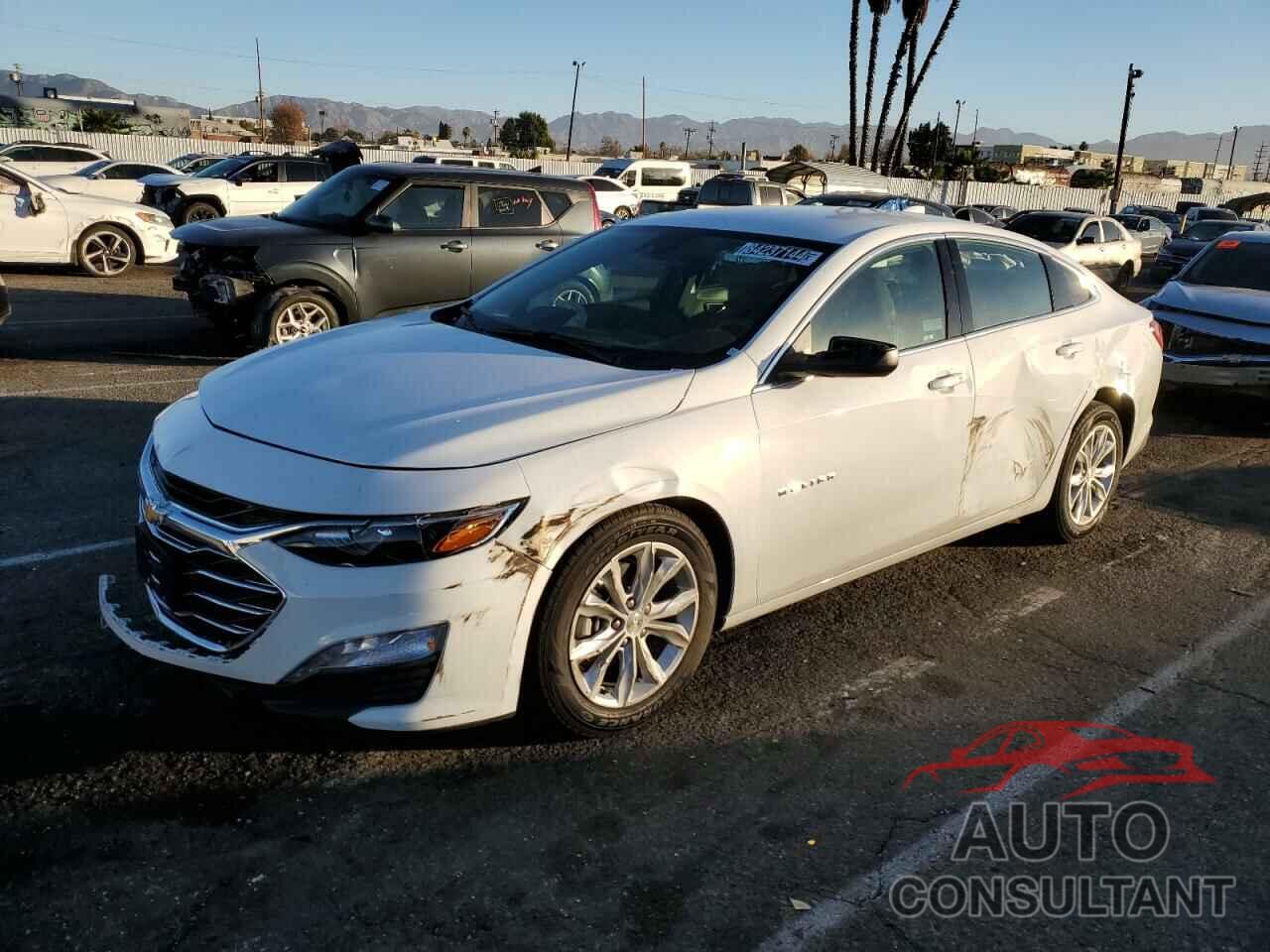 CHEVROLET MALIBU 2024 - 1G1ZD5ST0RF223965