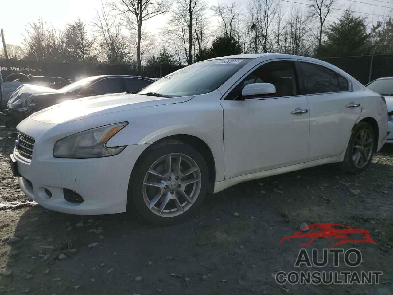 NISSAN MAXIMA 2011 - 1N4AA5AP6BC860034