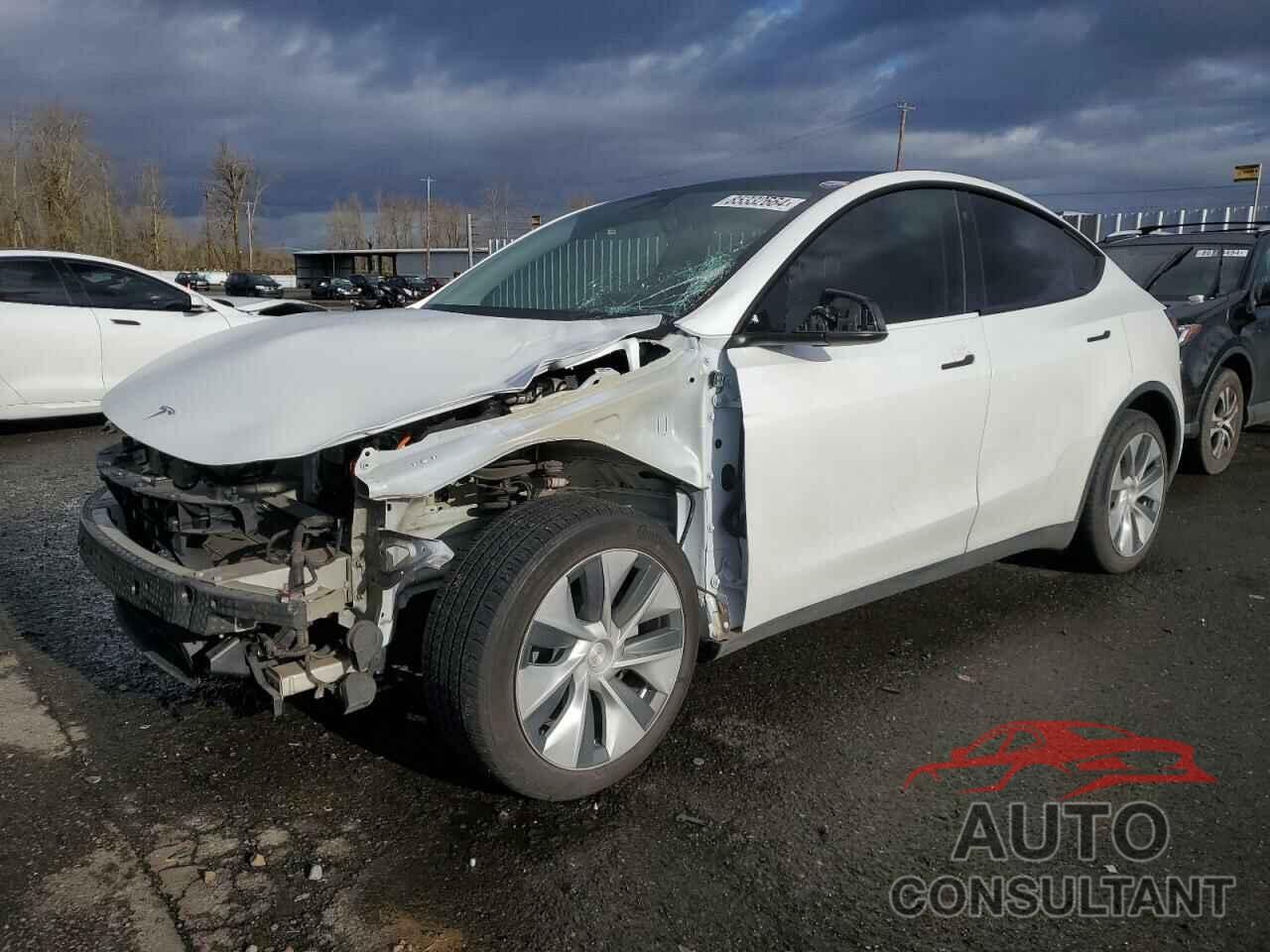 TESLA MODEL Y 2022 - 7SAYGDEE8NF556384