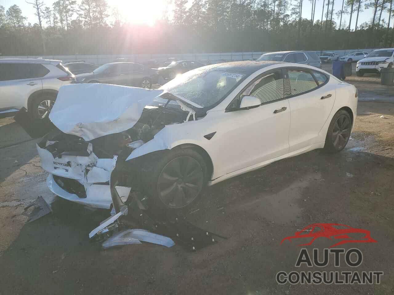 TESLA MODEL S 2021 - 5YJSA1E60MF439151