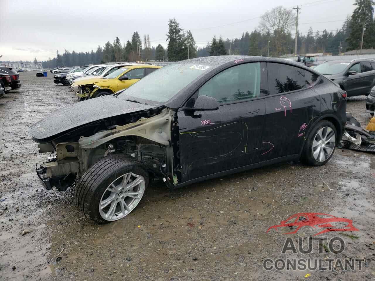 TESLA MODEL Y 2023 - 7SAYGAEE2PF595473