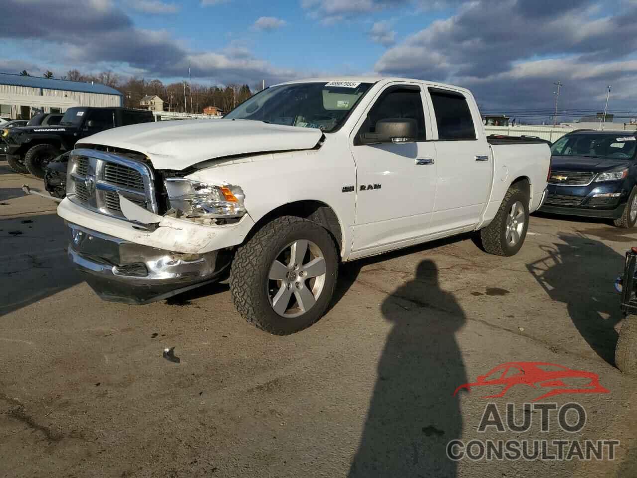 DODGE All Models 2010 - 1D7RV1CT4AS158020