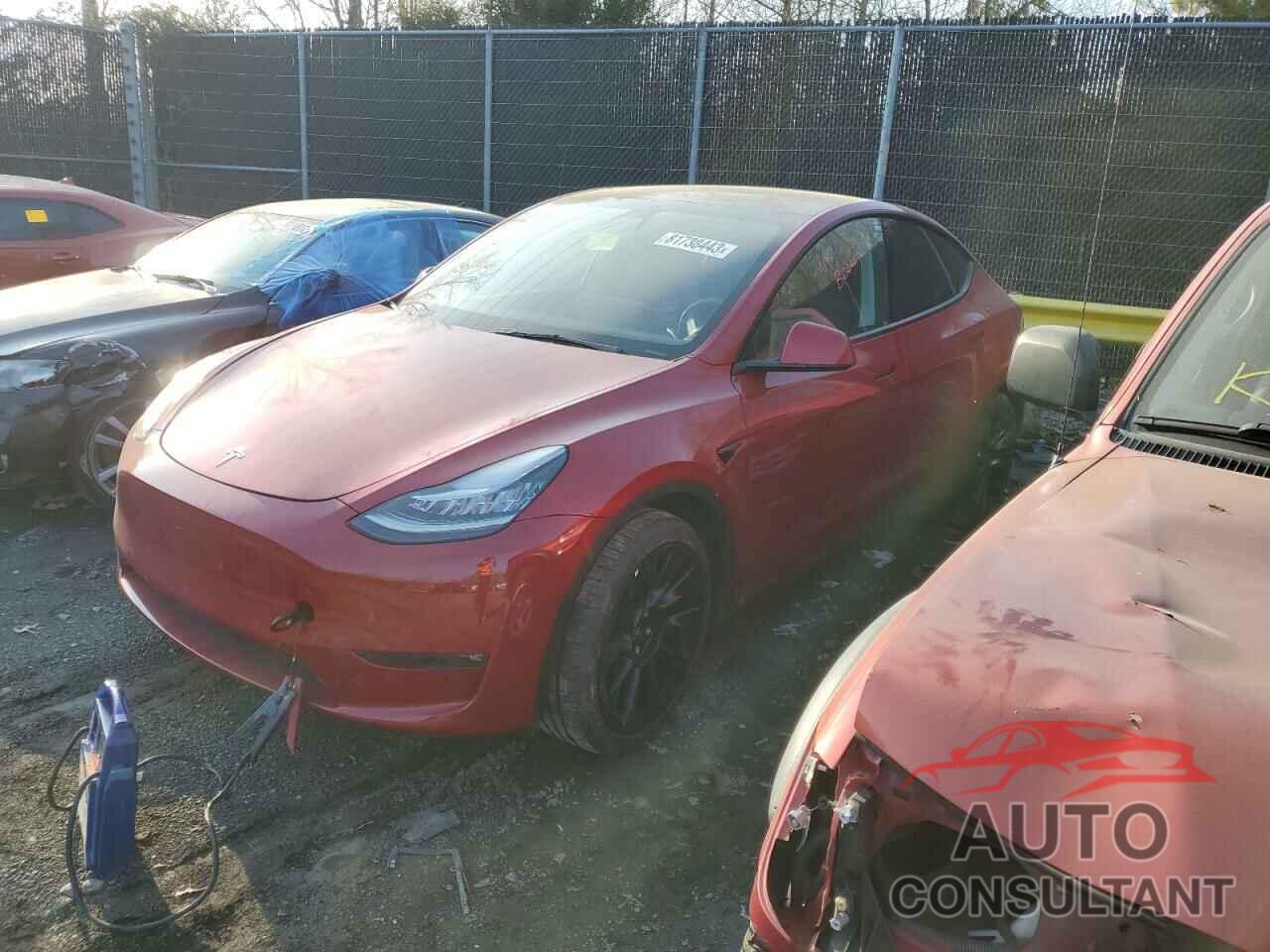 TESLA MODEL Y 2021 - 5YJYGAEE1MF191119