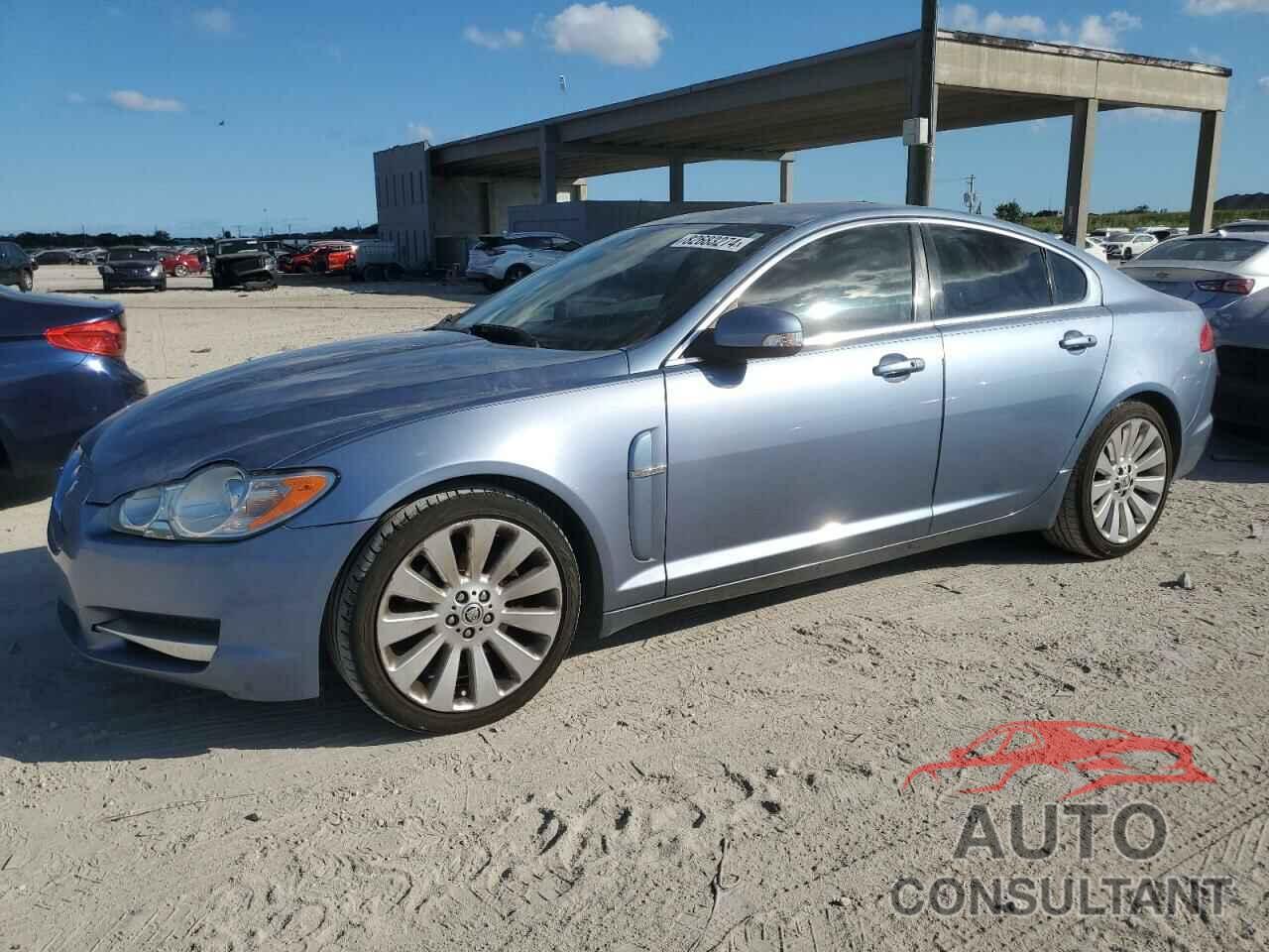 JAGUAR XF 2009 - SAJWA06B69HR01504