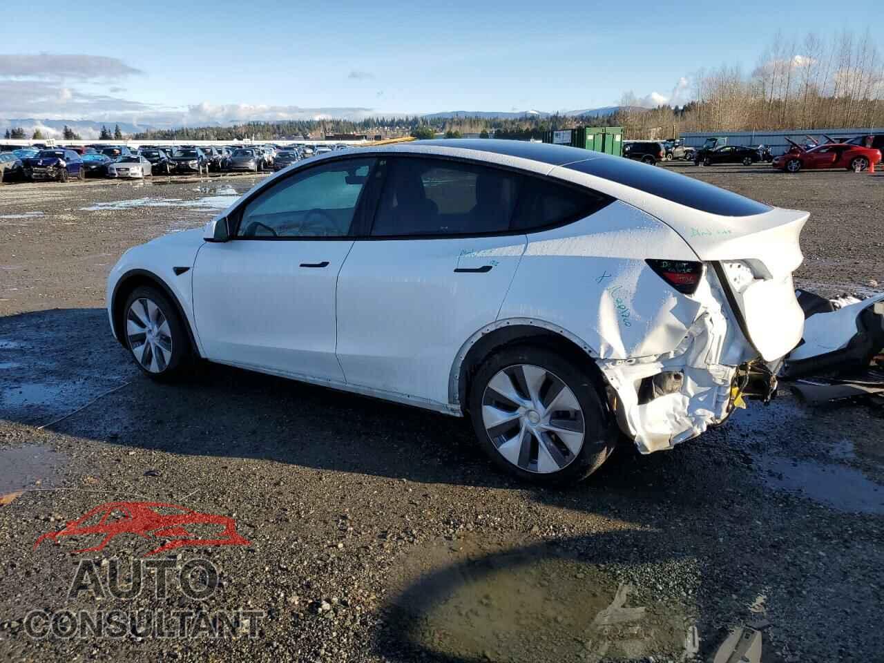 TESLA MODEL Y 2022 - 7SAYGDEE2NF458516