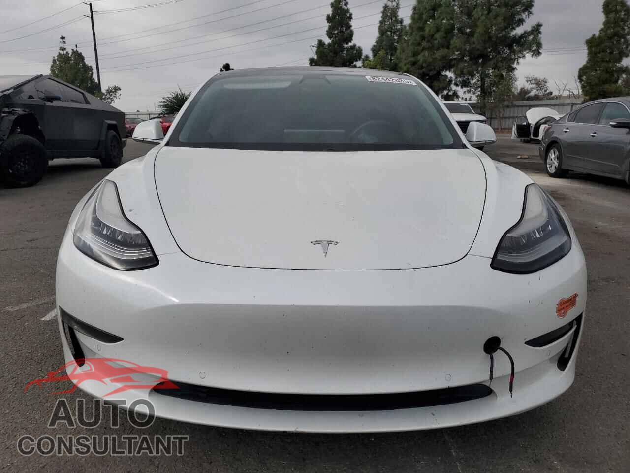 TESLA MODEL 3 2019 - 5YJ3E1EAXKF412064