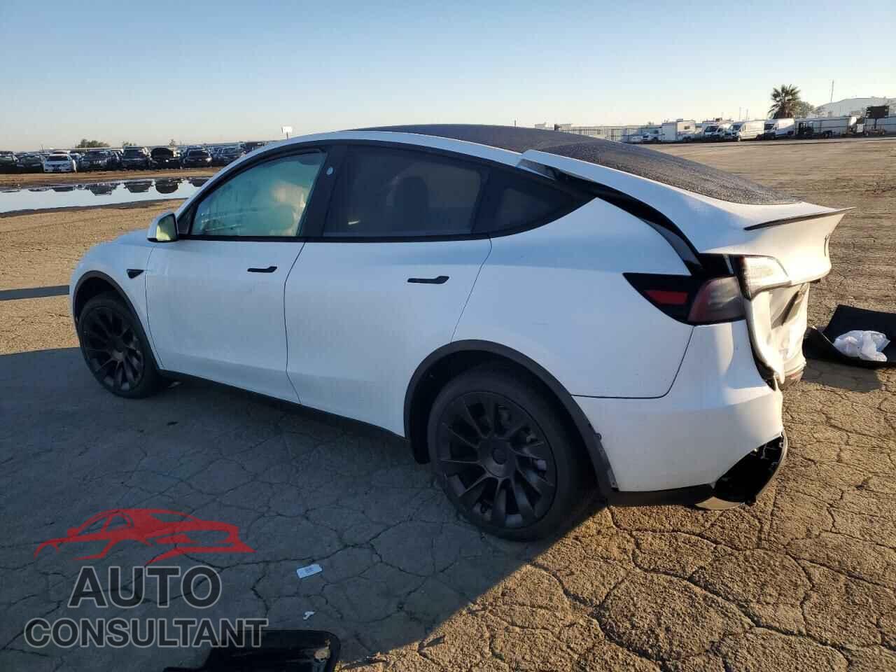 TESLA MODEL Y 2024 - 7SAYGDED1RF154851
