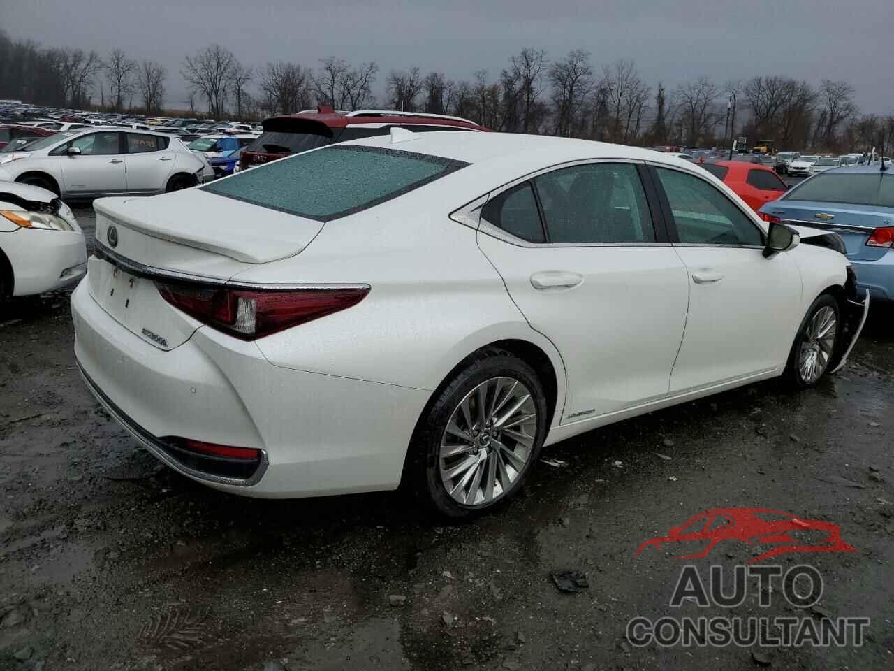 LEXUS ES300 2022 - 58AEA1C15NU020262