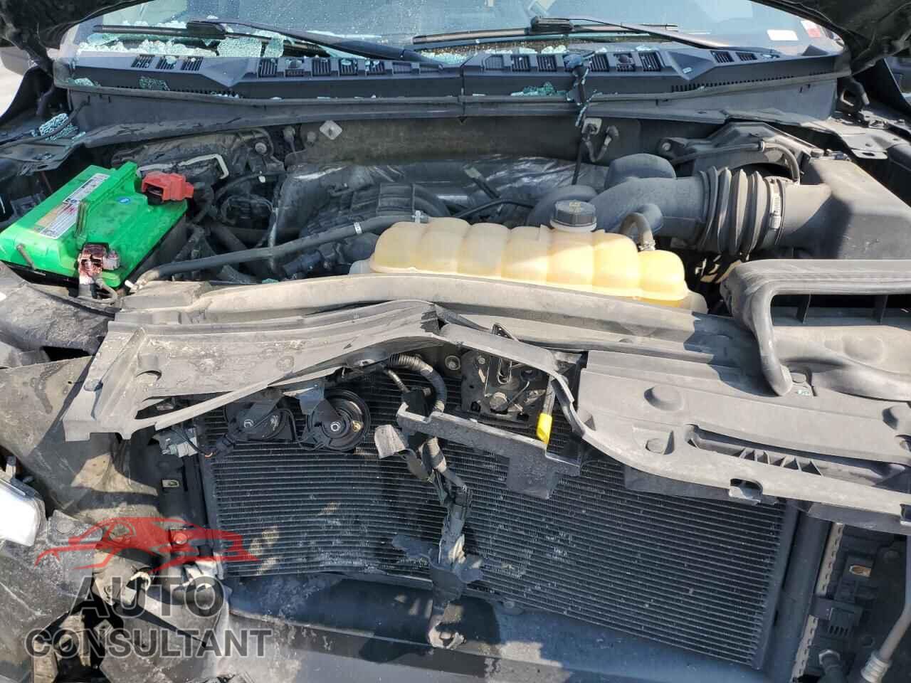 FORD F-150 2015 - 1FTEW1E80FFB10352