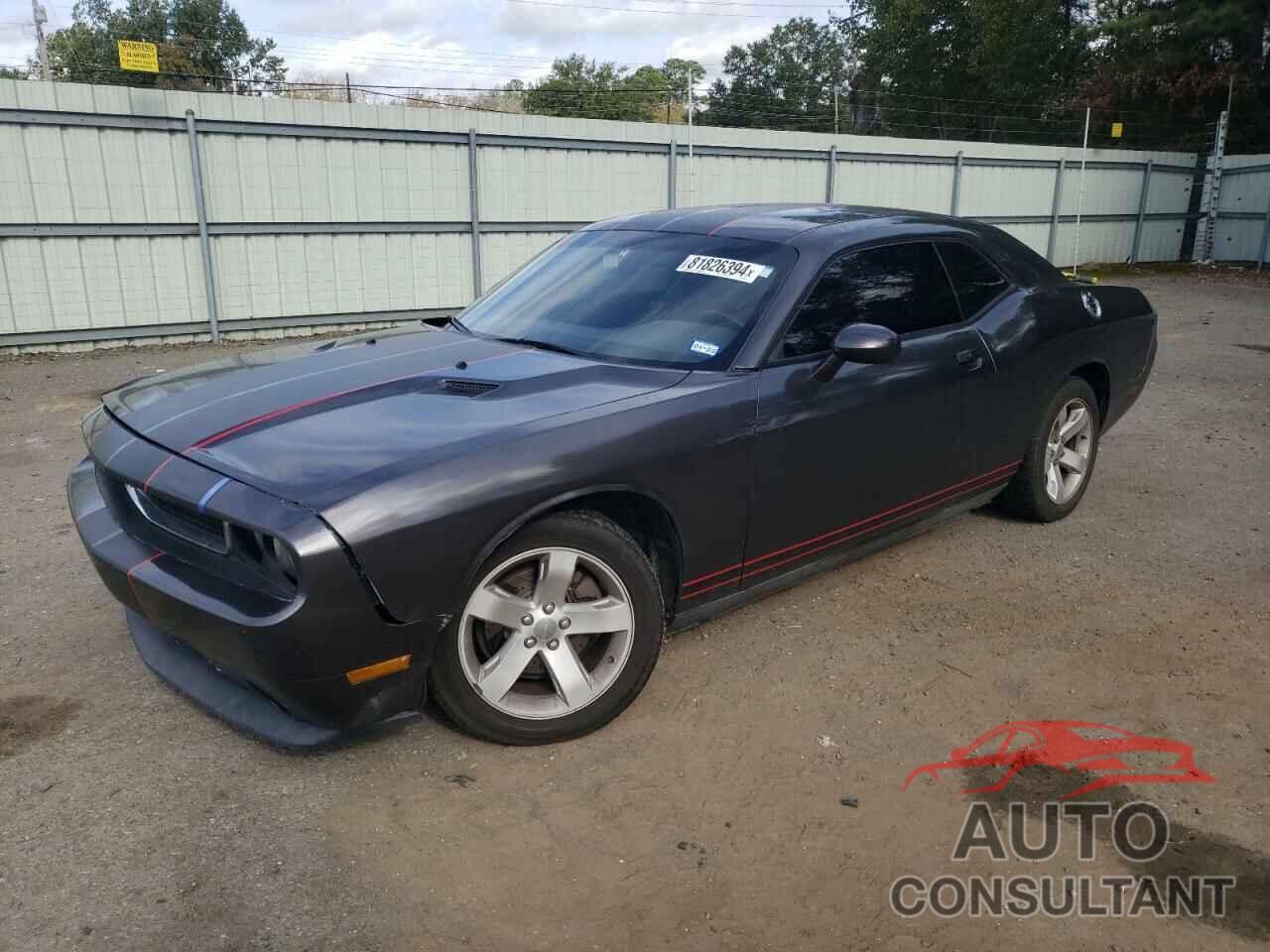 DODGE CHALLENGER 2013 - 2C3CDYAG9DH578969