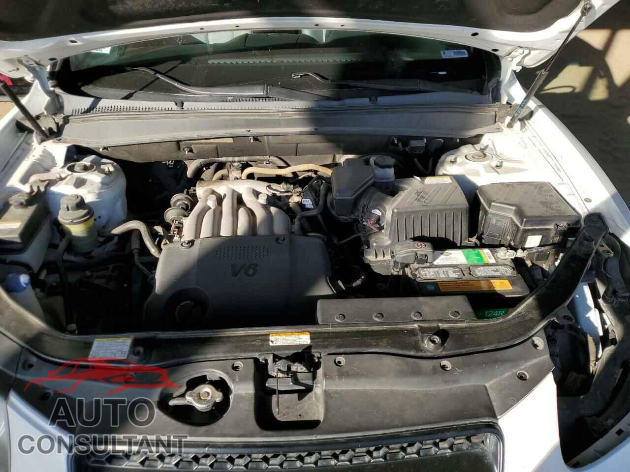 HYUNDAI SANTA FE 2009 - 5NMSG13D09H230112