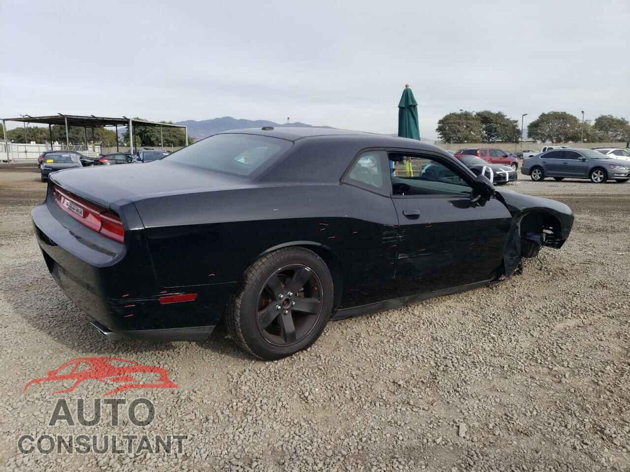 DODGE CHALLENGER 2013 - 2C3CDYAG7DH724513