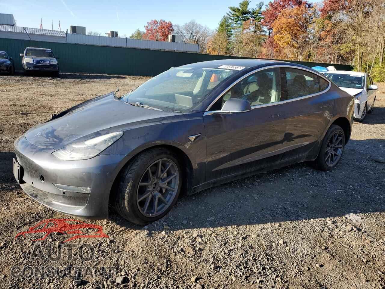 TESLA MODEL 3 2019 - 5YJ3E1EB2KF452101