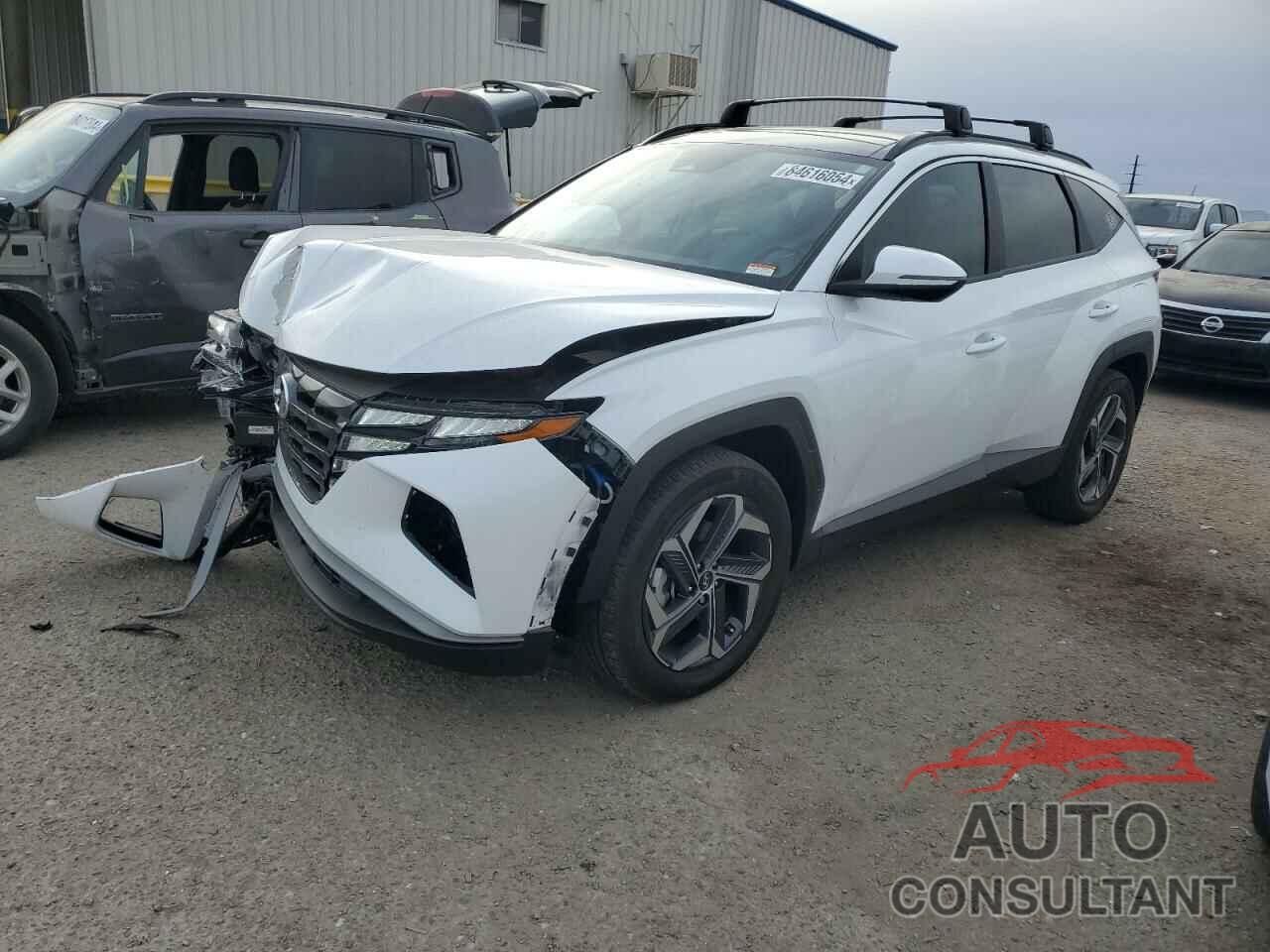 HYUNDAI TUCSON 2024 - KM8JCCD19RU138511