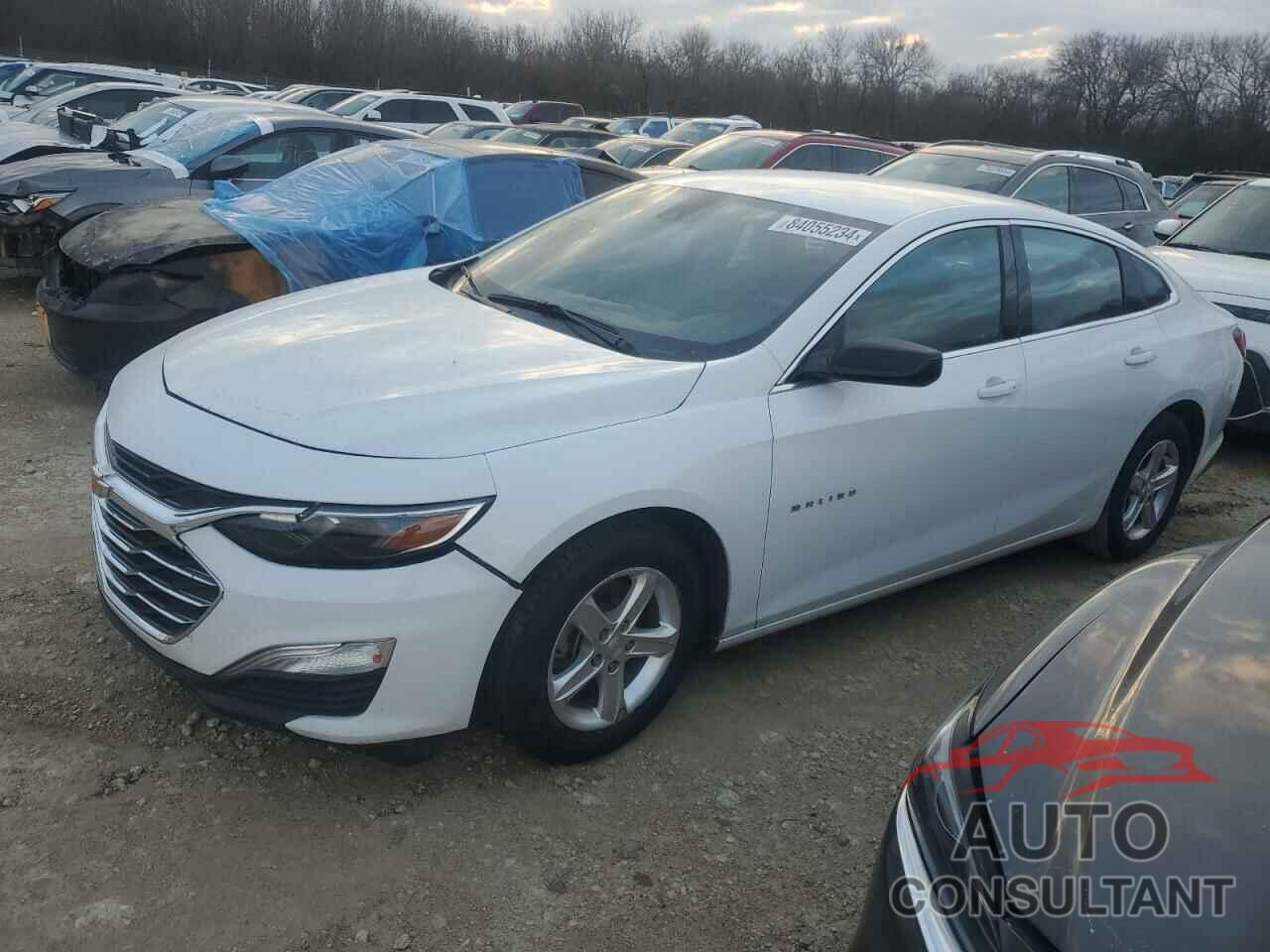 CHEVROLET MALIBU 2023 - 1G1ZC5STXPF160633