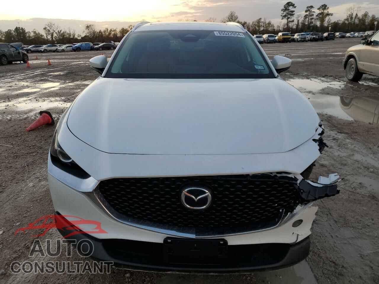 MAZDA CX30 2024 - 3MVDMBCM8RM718565