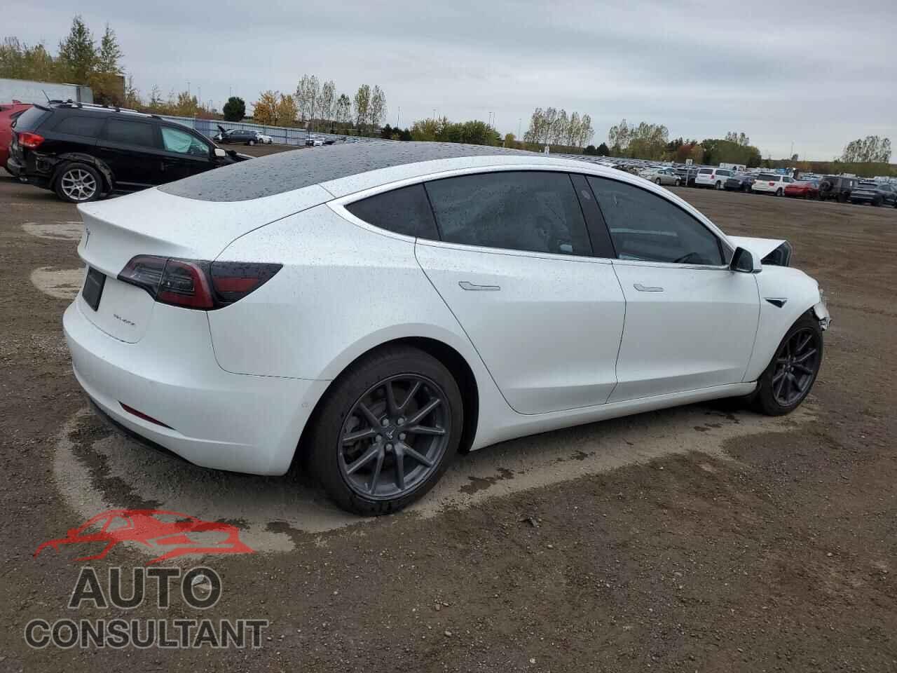 TESLA MODEL 3 2019 - 5YJ3E1EB8KF482042