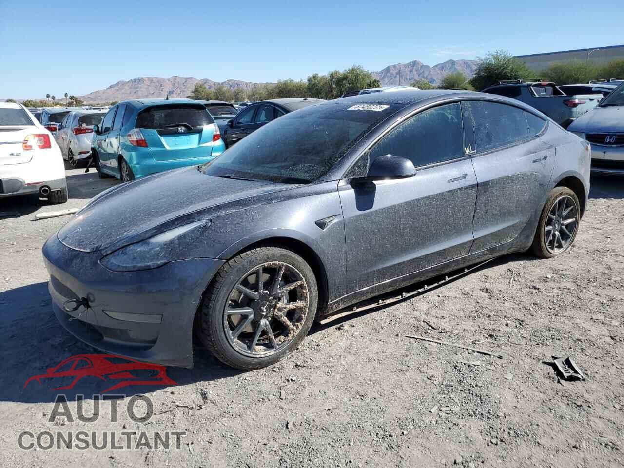 TESLA MODEL 3 2021 - 5YJ3E1EA7MF025863