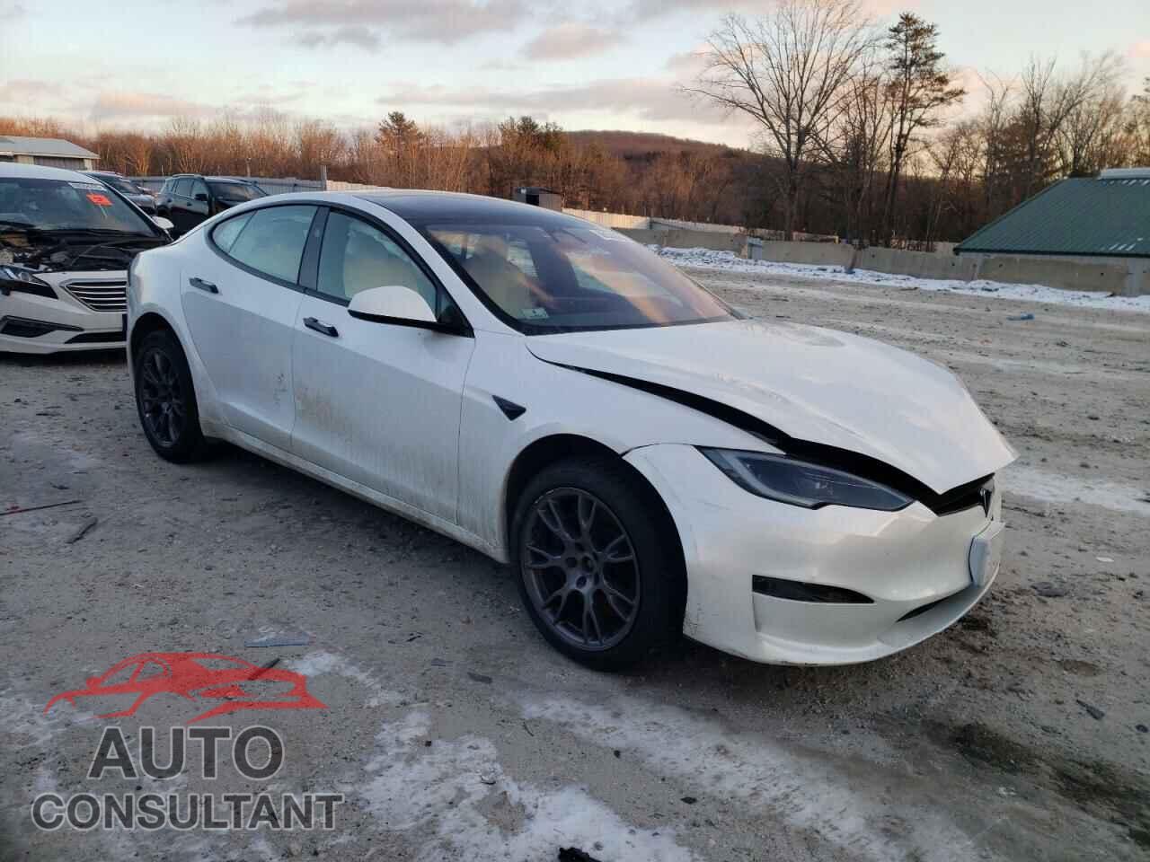 TESLA MODEL S 2023 - 5YJSA1E55PF508489