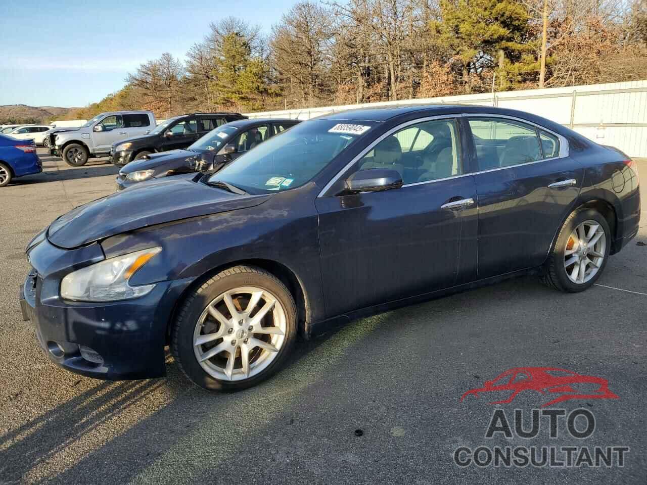 NISSAN MAXIMA 2011 - 1N4AA5AP6BC843959