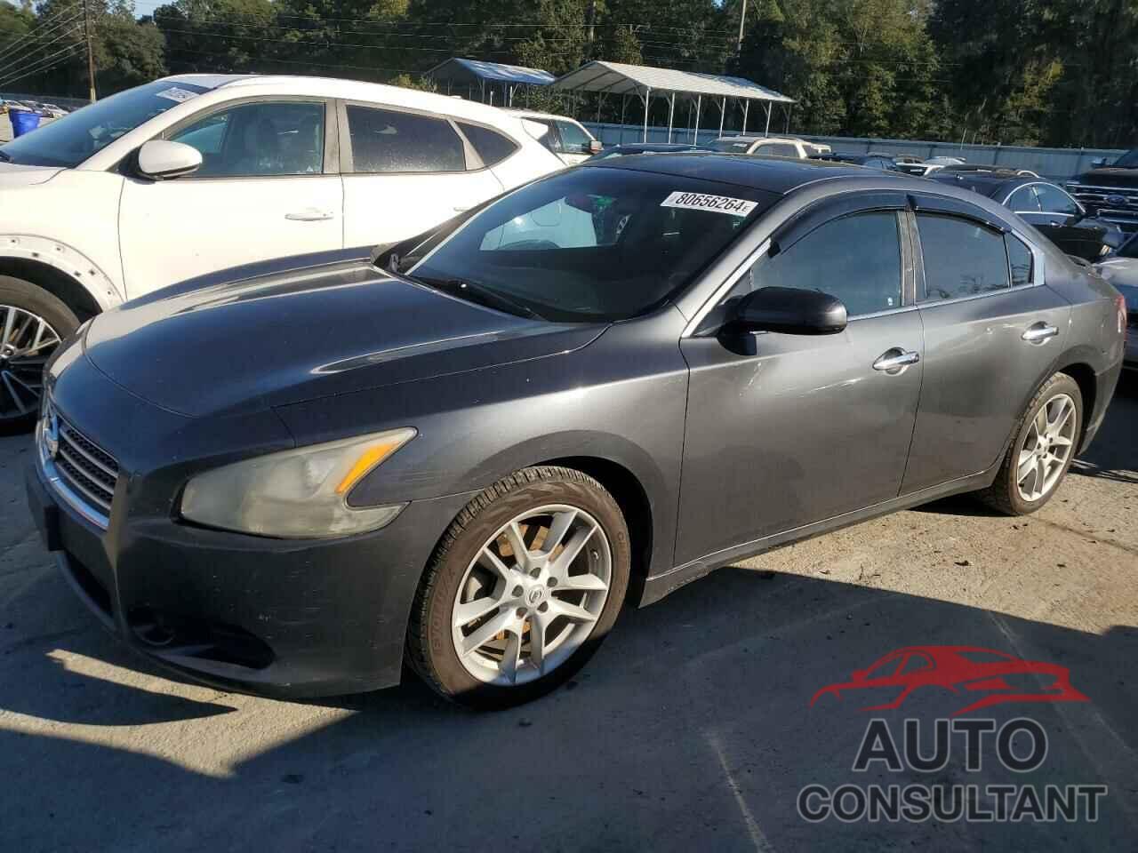NISSAN MAXIMA 2010 - 1N4AA5AP0AC849285