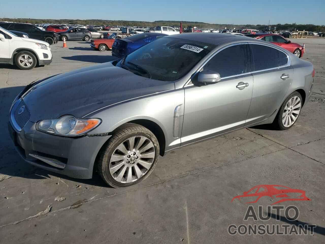 JAGUAR XF 2009 - SAJWA06B09HR05628