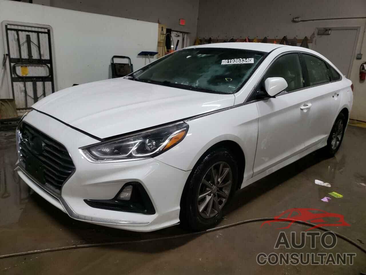 HYUNDAI SONATA 2019 - 5NPE24AF2KH735725