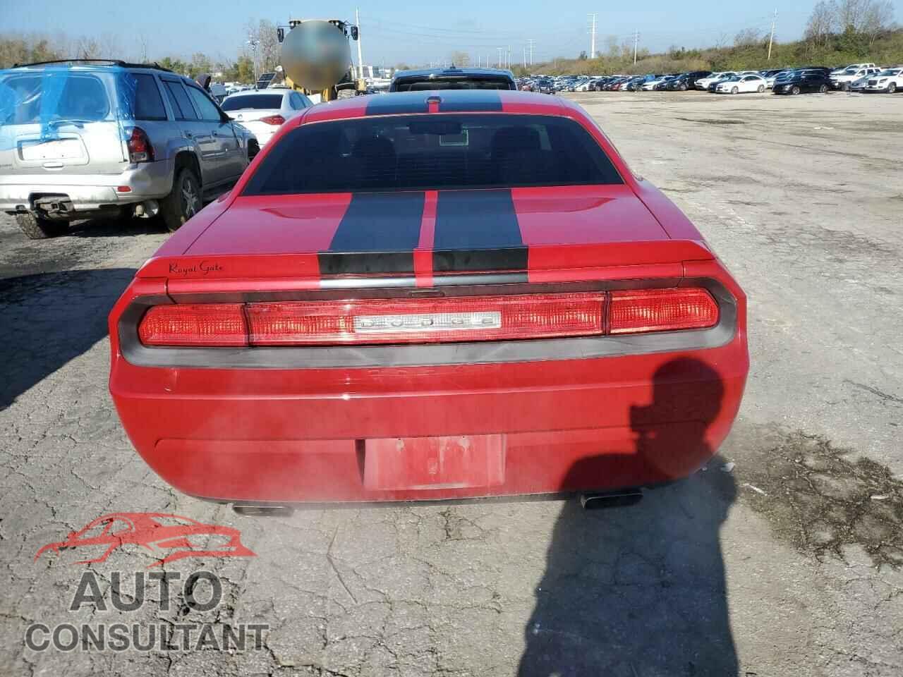 DODGE CHALLENGER 2013 - 2C3CDYBT1DH511536