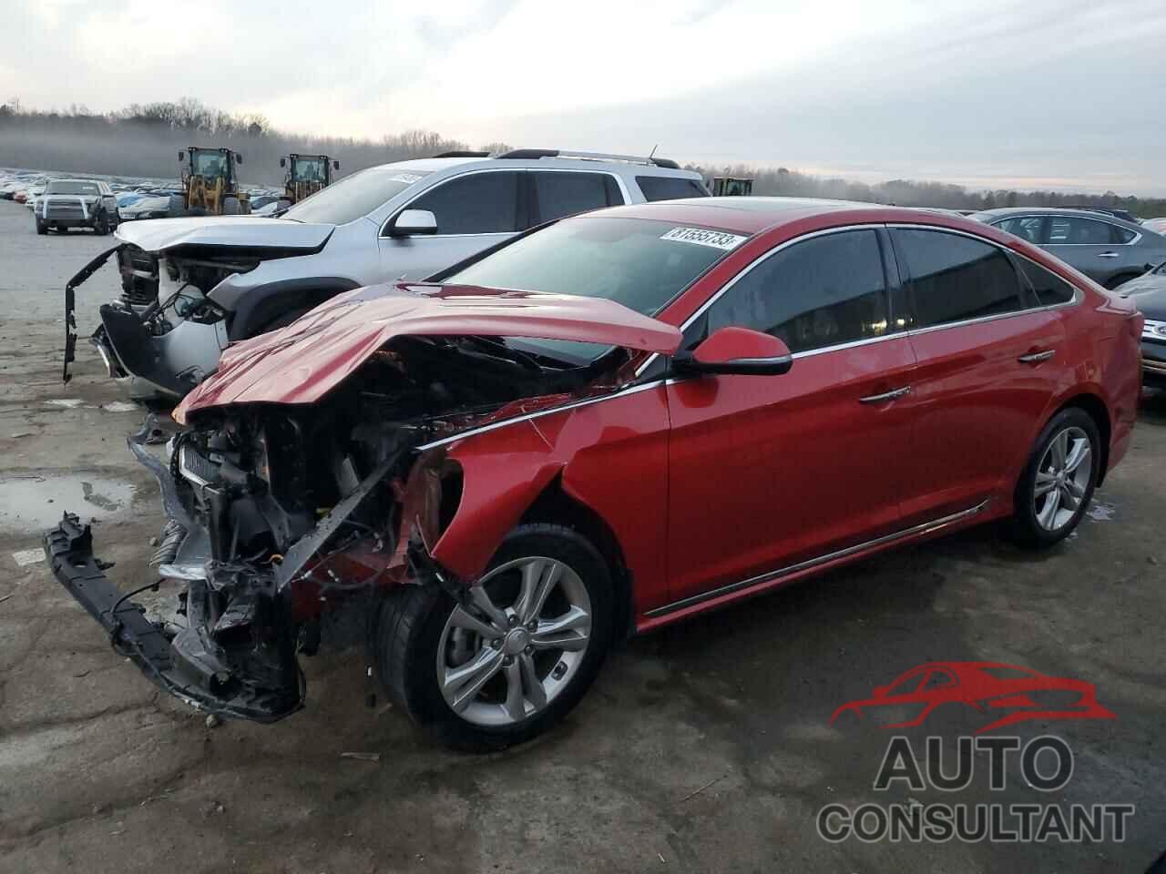 HYUNDAI SONATA 2019 - 5NPE34AF1KH780507