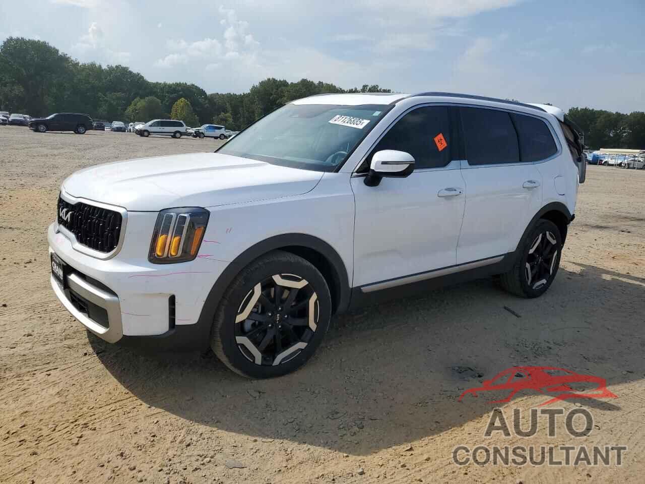 KIA TELLURIDE 2024 - 5XYP34GC2RG492017