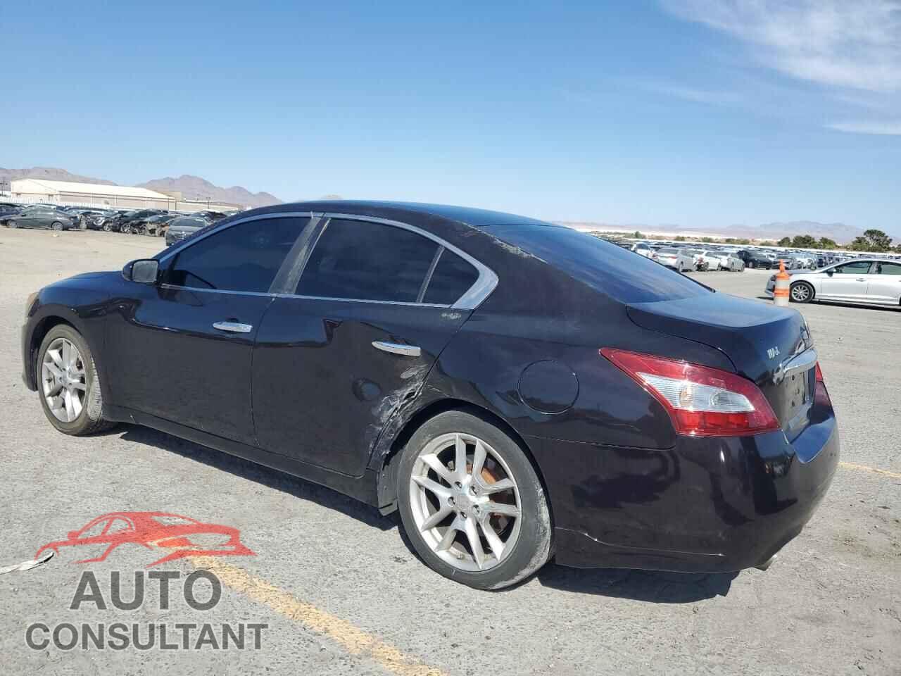 NISSAN MAXIMA 2010 - 1N4AA5AP5AC823068