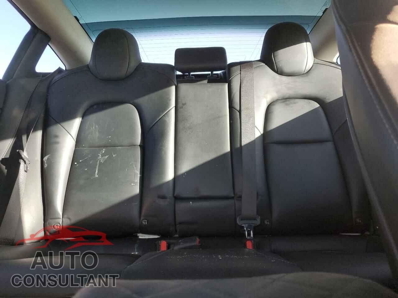 TESLA MODEL 3 2019 - 5YJ3E1EB2KF437517
