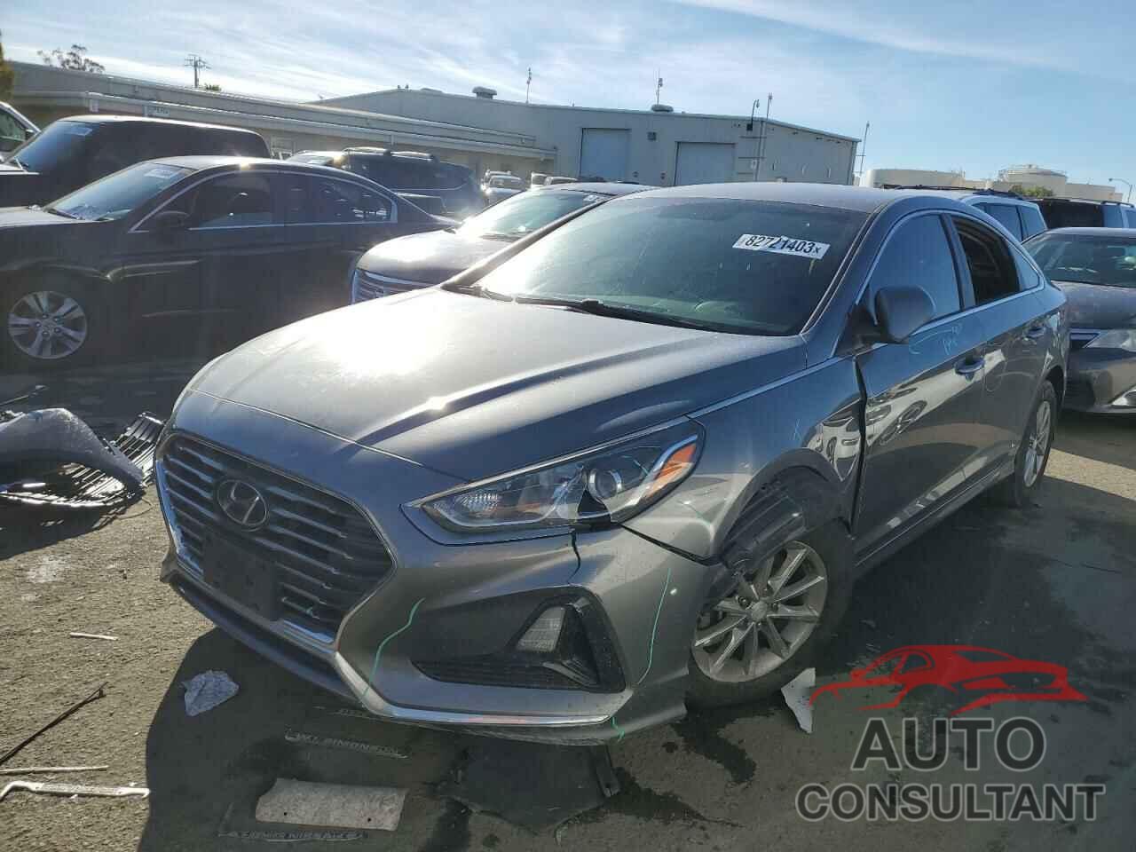 HYUNDAI SONATA 2019 - 5NPE24AF7KH743173