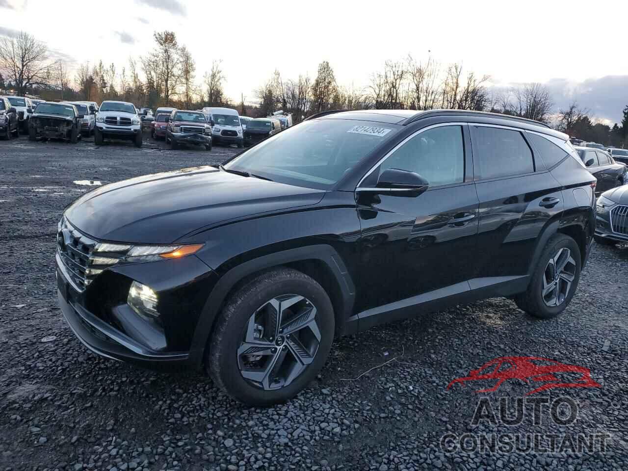 HYUNDAI TUCSON 2023 - KM8JECA13PU084778