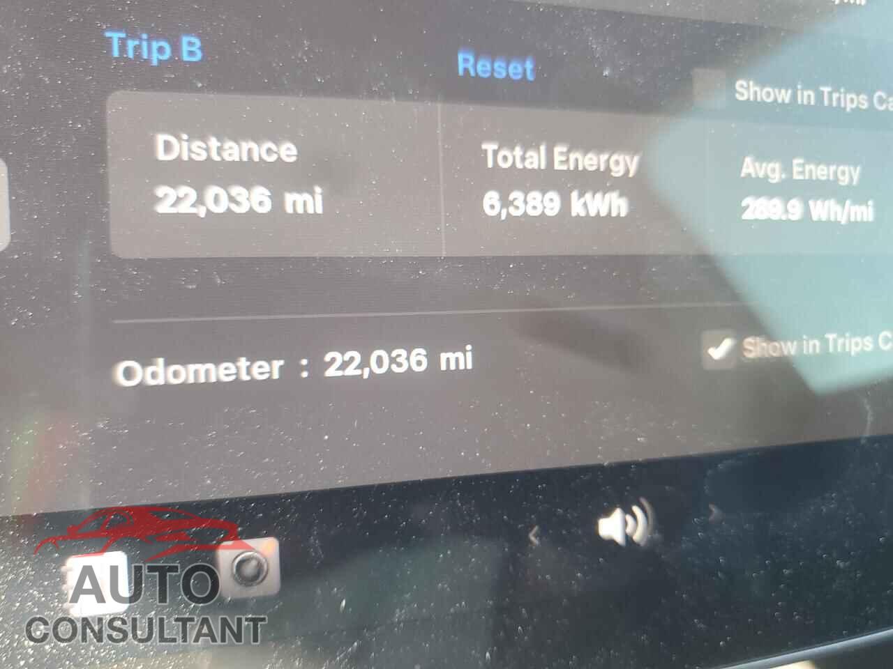 TESLA MODEL Y 2023 - 7SAYGDED9PF947604